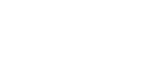 Ice Stars International